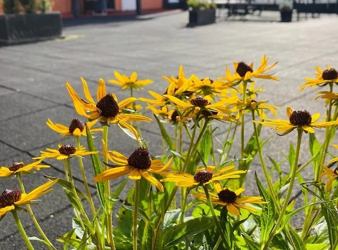 Hotel apartamentowy Flotmyrgarden 3*