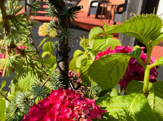 Flotmyrgarden 3*